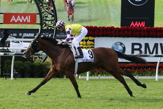 Sacred Elixir winning the JJ Atkin Stakes. Photo Credit: Equine Images